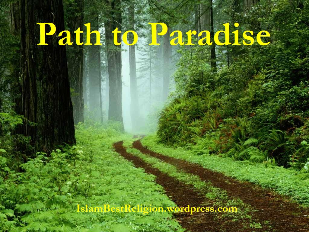 path to paradise