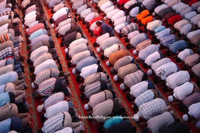 Radio&Forumi: **Ehlu-Sunneh** - Portal Mosque-prayer