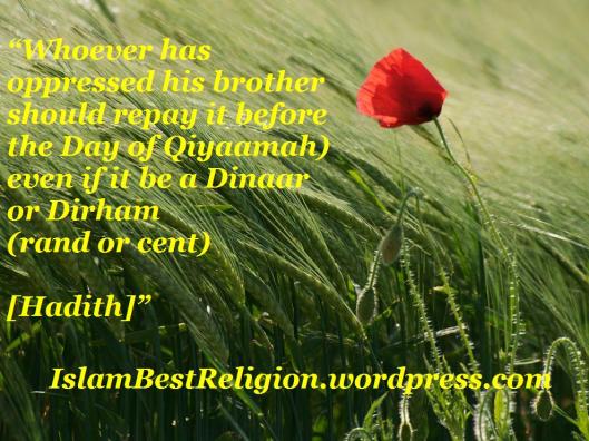 islam-best-religion